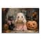 Stupell Industries; Stupell Industries 19" x 13" Cute Halloween Boo Portrait Wall Plaque Art; Category:Halloween Wall Decor; Image:2